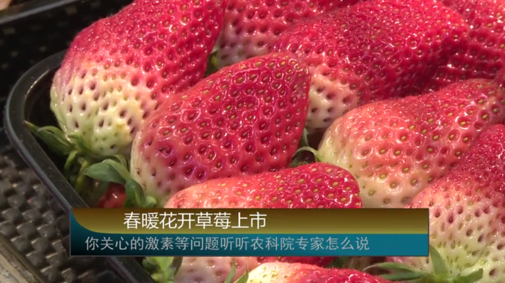 ��ů���_��ݮ���������P(gu��n)�ĵļ��صȆ�(w��n)�}  �r(n��ng)��Ժ������ô�f(shu��)