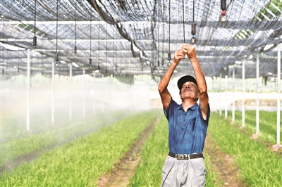 �p�ɰ�����o ���簲Ȼ����